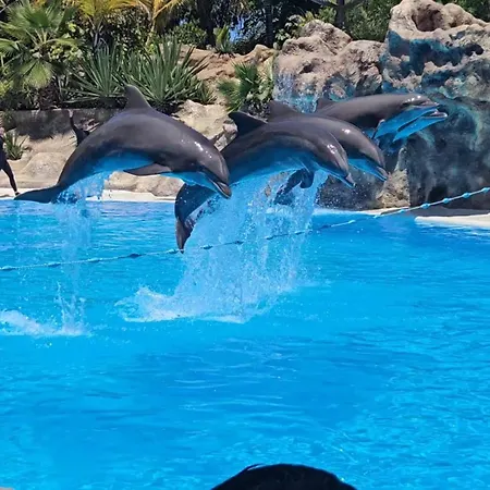 Blue Ocean Costa Adeje 504 * 플라야데라스아메리카스