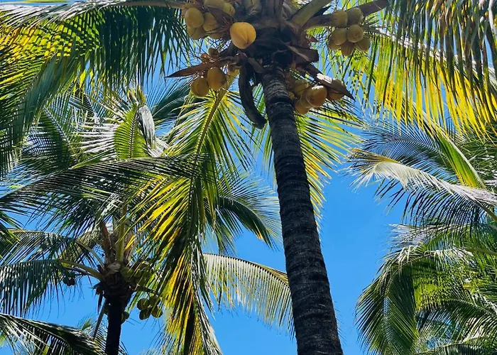 Blue Ocean Costa Adeje 504 公寓 *