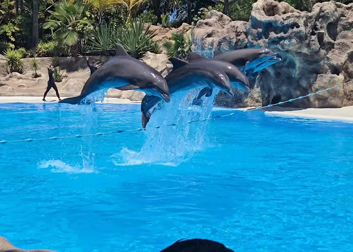 Blue Ocean Costa Adeje 504 * 美洲海滩