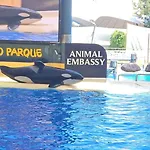 Апартаменты Blue Ocean Costa Adeje 504 Плая-де-лас-Америкас