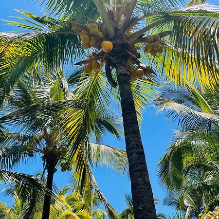 Blue Ocean Costa Adeje 504 Appartement *